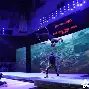 NK救贫秃鹰放弃患MIR马神集体戒酒的简单介绍