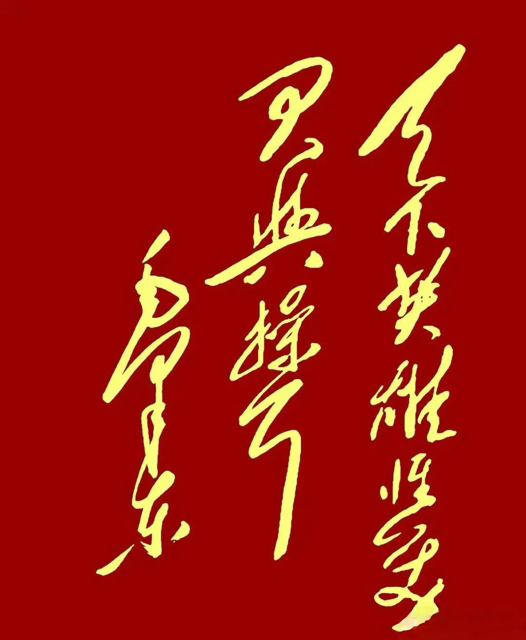 包含奋战一生：球队如金刚钻，决胜千里的词条